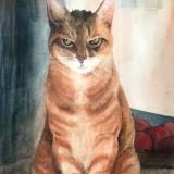 Kitty