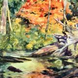 Tamolitch Pool Fall Colors
