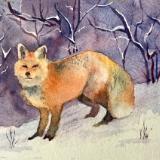Fox in Winter